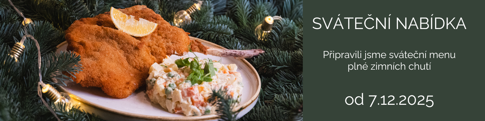 Dark Kitchen Bistro - banner