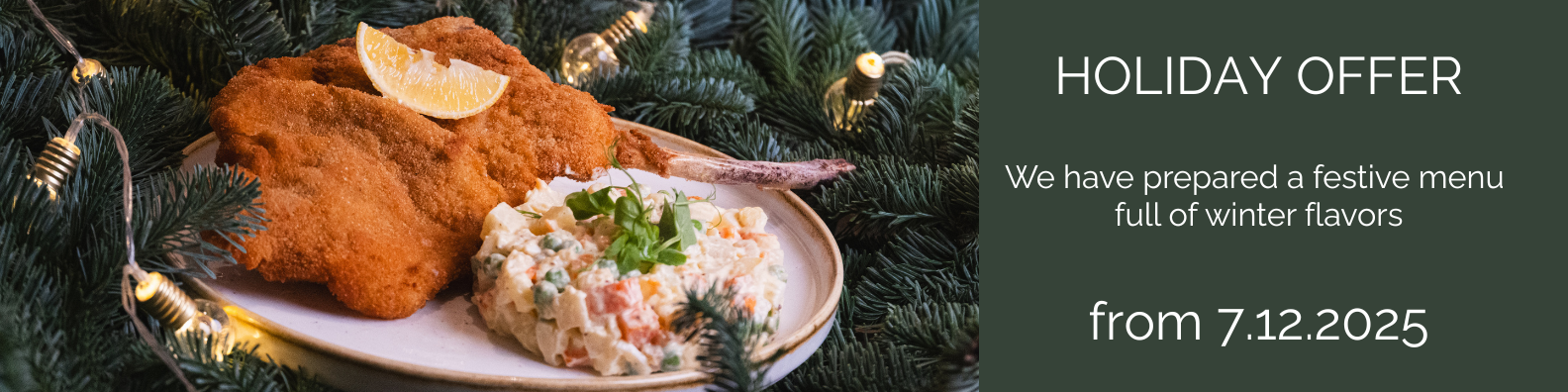 Dark Kitchen Bistro - banner